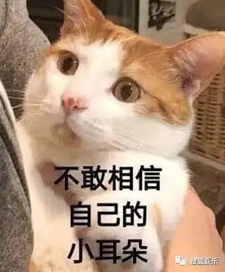 英国1年制硕士vs英国博士，申请策略有哪些不同(图1)