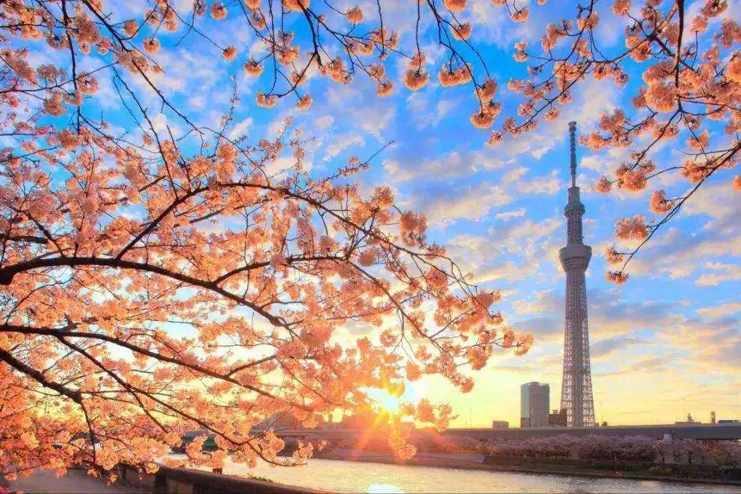 【日本留学】艺术生去日本留学需要准备哪些材(图2)