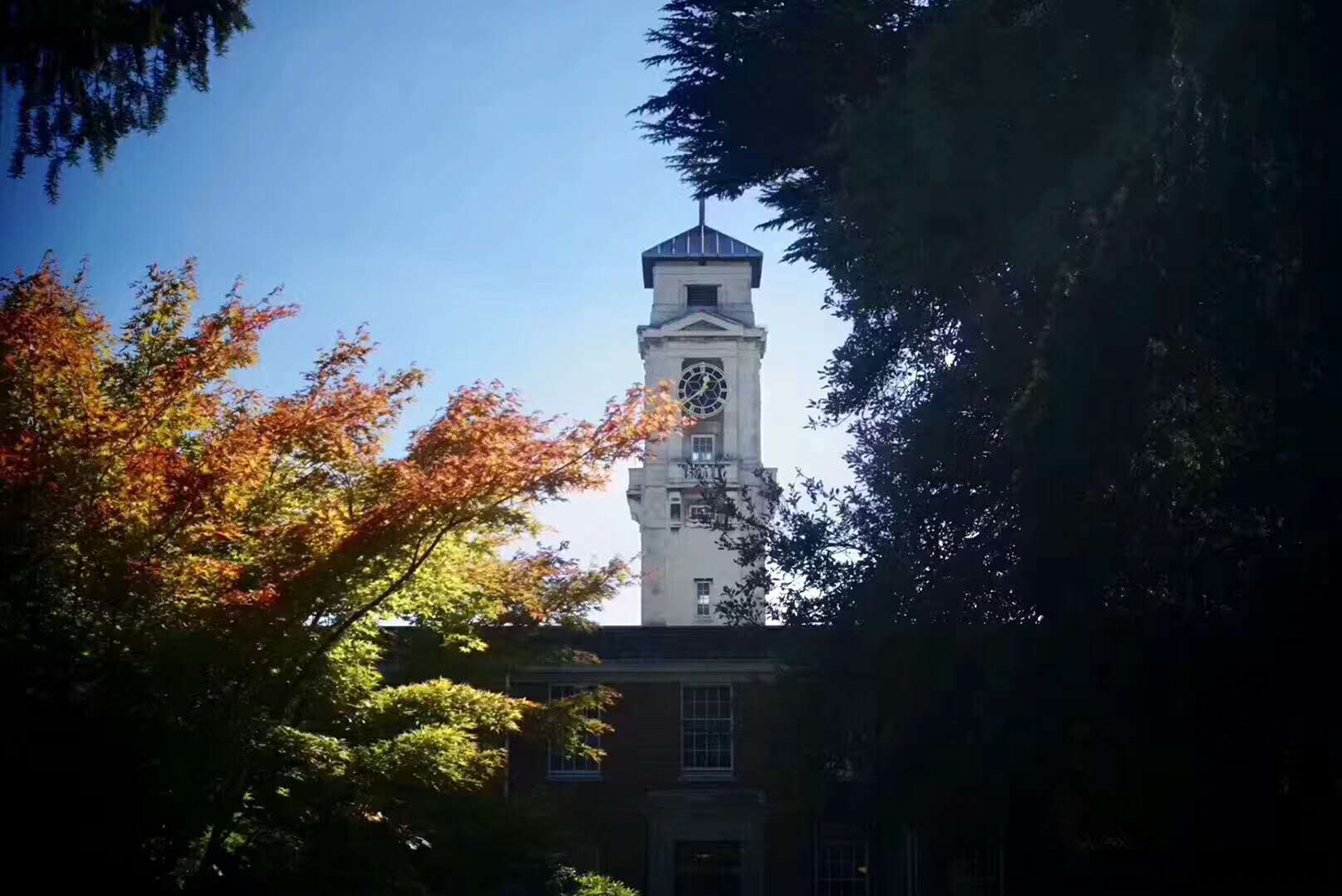 什么成绩能去英国经济学Top 10？申请要求汇总(图6)