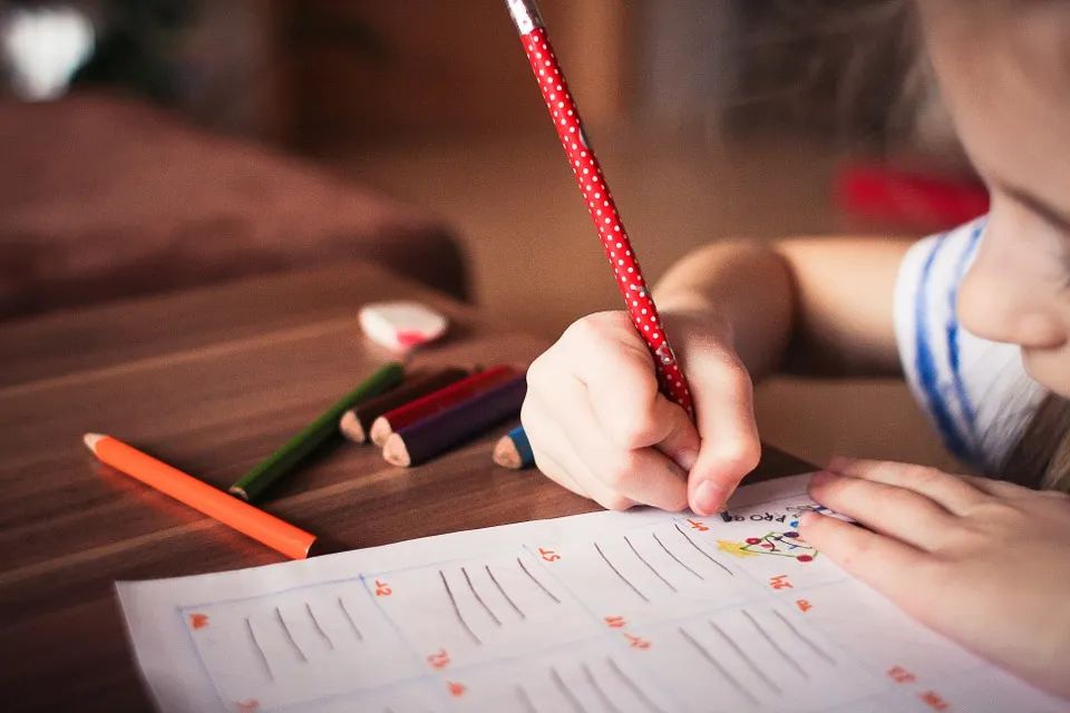 澳洲教育专业：Education，Tesol，Teaching哪个更容易(图2)