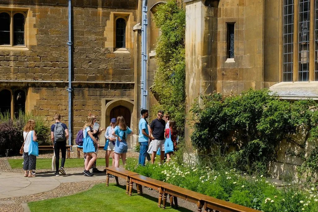 英国大学哪些专业最有钱途？(图3)