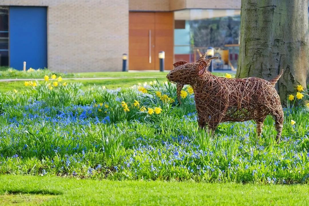 英国大学哪些专业最有钱途？(图1)
