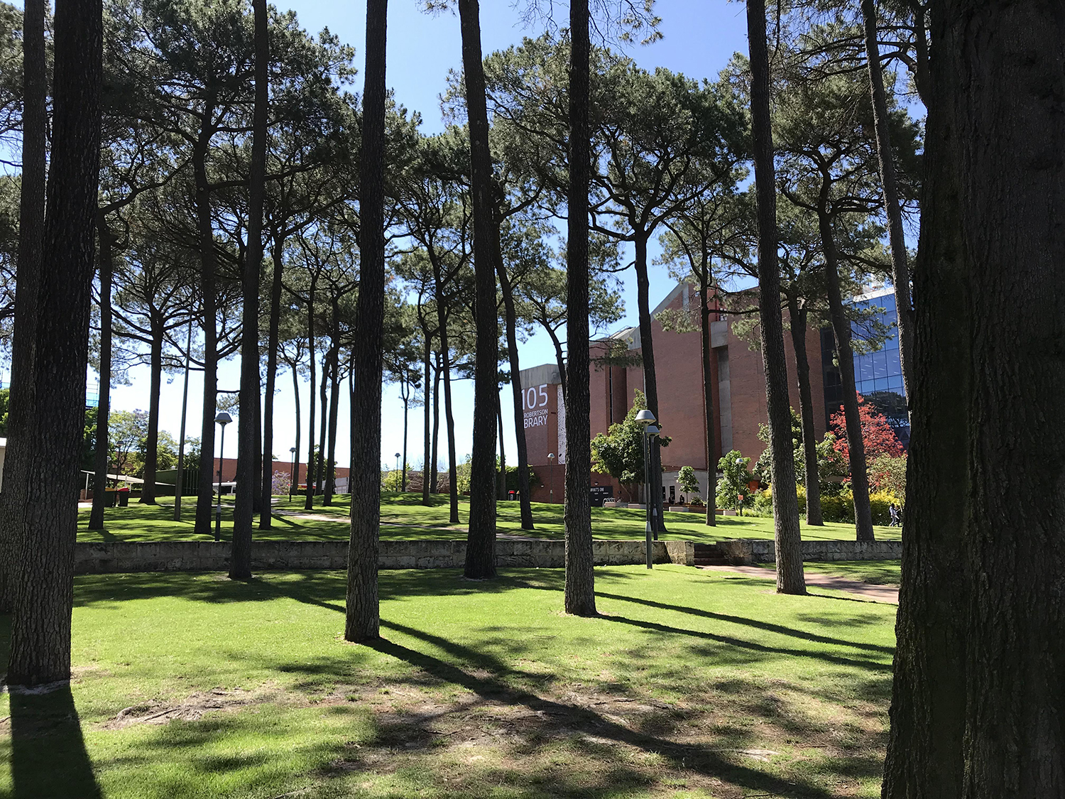 选专业苦恼？不妨来看看阿德雷德大学会计类专(图6)